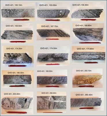 Figure 02: Selected intercepts from QVD-421 drill core, corresponding to the intercept from 141.00 to 264.00 m (123.00 m core length) with anomalous silver values, displaying evidence of hydrothermal activity. (CNW Group/Argenta Silver Corp.) Figure 02: Selected intercepts from QVD-421 drill core, corresponding to the intercept from 141.00 to 264.00 m (123.00 m core length) with anomalous silver values, displaying evidence of hydrothermal activity. (CNW Group/Argenta Silver Corp.)