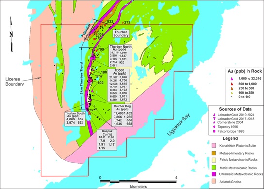 Figure 1. Gold and copper potential of the Thurber license, showing the 3km long Thurber Gold Trend.*