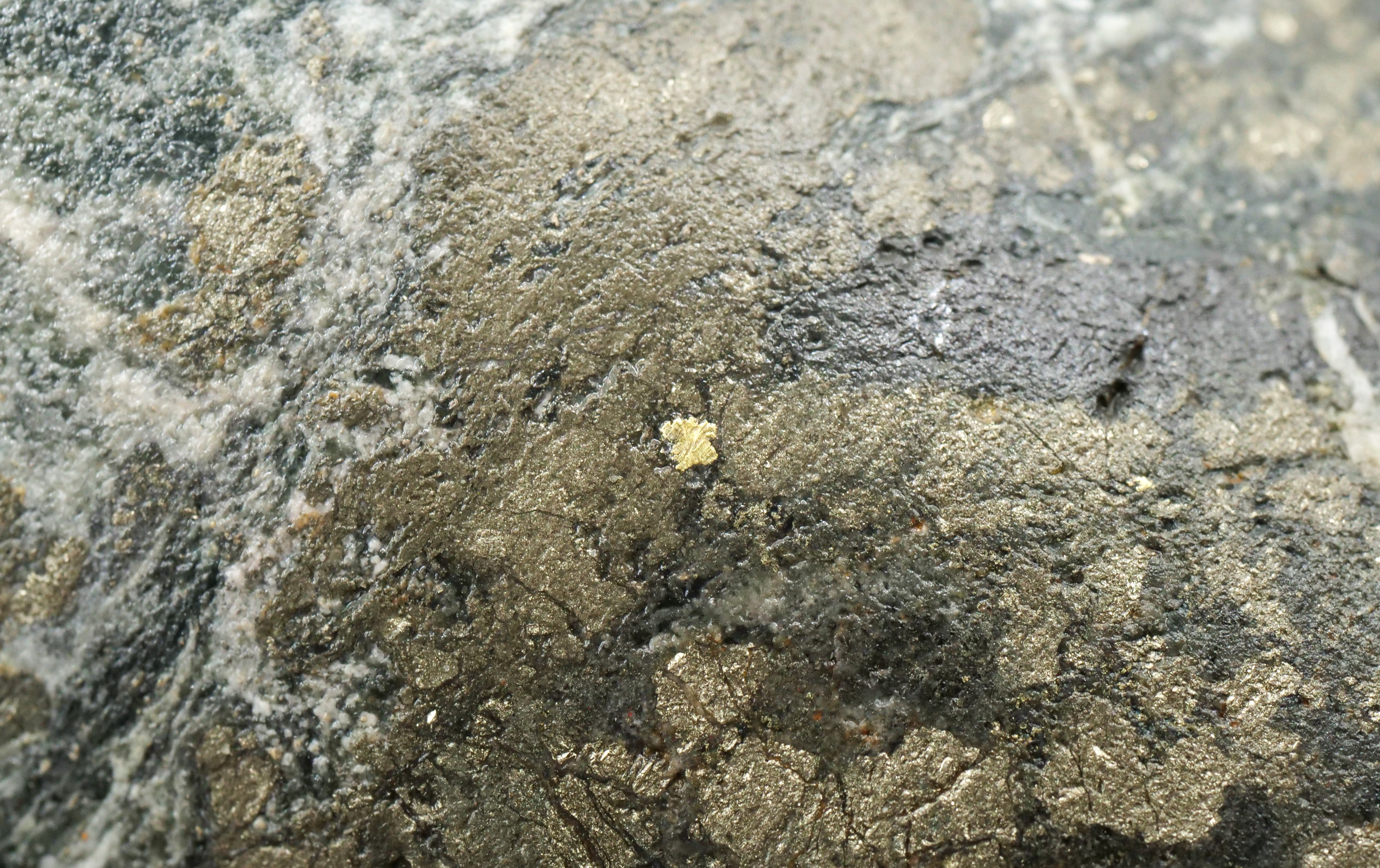 NR 12Nov2025 Figure 4