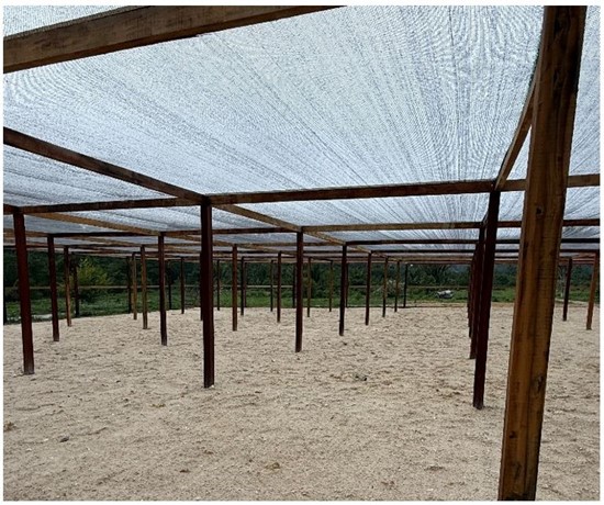 Cannot view this image? Visit: https://www.miningstockeducation.com/wp-content/uploads/2025/12/278323_cabralimg5_550.jpg