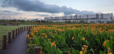 TCL CSOT Artificial Wetland Park