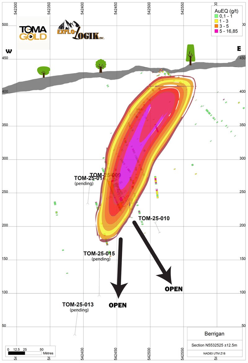 Longitudinal Section of the Berrigan Property Known Mineralized Envelope and Completed Drill Holes (excluding TOM-25-011 and TOM-25-012)