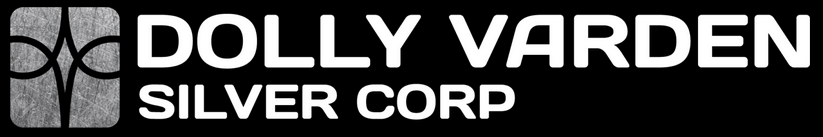 Dolly Varden Silver Logo