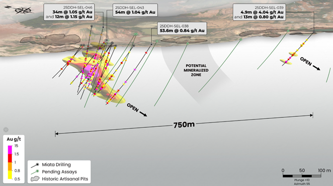 Oblique view of drilling in Jons Trend with an implicit grade model, showing that mineralization is open in all directions. Readers are cautioned that the model illustrates exploration potential based on limited data only and is not a guarantee that such gold grades are present.