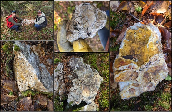 Cannot view this image? Visit: https://www.miningstockeducation.com/wp-content/uploads/2026/01/281217_ce9a9609b4aeaae9_004.jpg