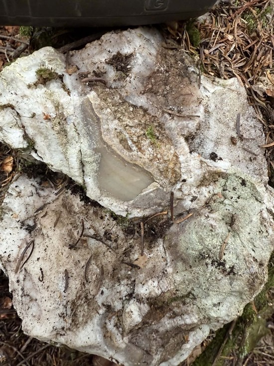 Cannot view this image? Visit: https://www.miningstockeducation.com/wp-content/uploads/2026/01/281217_ce9a9609b4aeaae9_008.jpg