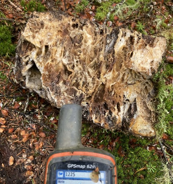 Cannot view this image? Visit: https://www.miningstockeducation.com/wp-content/uploads/2026/01/281217_ce9a9609b4aeaae9_009.jpg