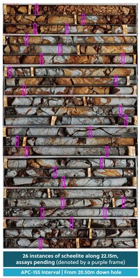 Figure 3: Drill Core from Hole APC-155. Twenty-Six Individual Visible Instances of Scheelite Over 22.15 Metres from 20.50 Metres Down Hole; Pending Assay Results (CNW Group/Collective Mining Ltd.)