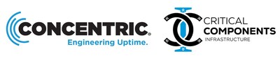 Concentric and CCI combine their strengths to address the evolving infrastructure demands of the data center market Concentric and CCI combine their strengths to address the evolving infrastructure demands of the data center market