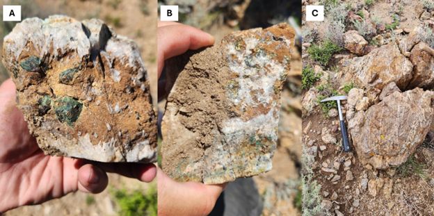 A and B: Examples of chalcopyrite-rich quartz-carbonate veins from the Zorro Cu target. Note the particularly coarse-grained chalcopyrite crystals. C: Sheeted veining and local stockwork characteristic of structural corridors at Zorro Cu. The host granite is intensely altered with Fe-Carbonate within the veining zones.