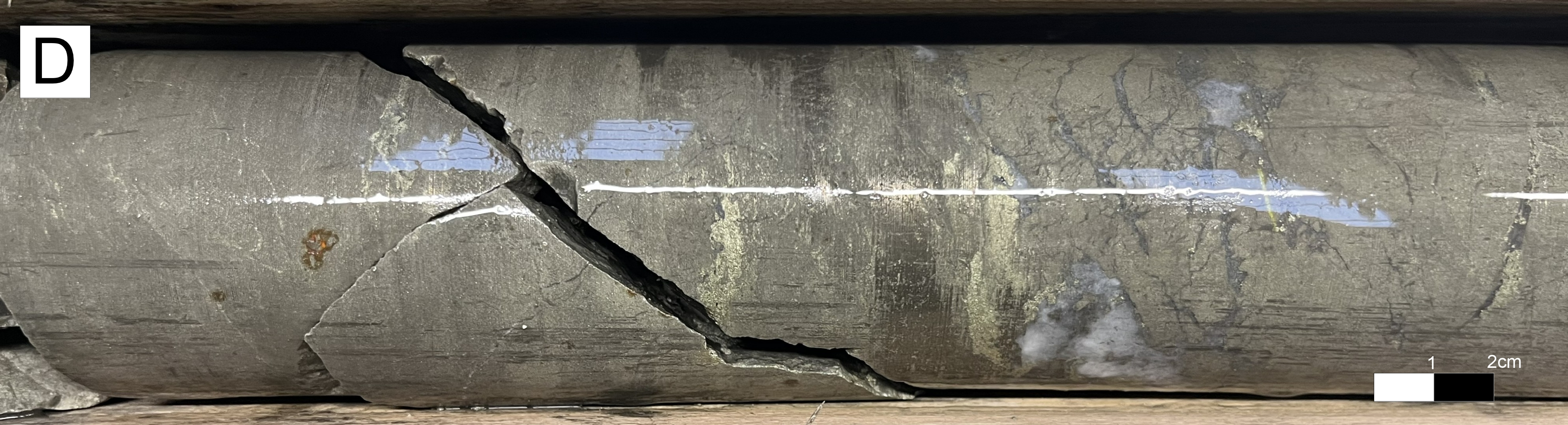 260204_EMO_Fig 5 Cont'd