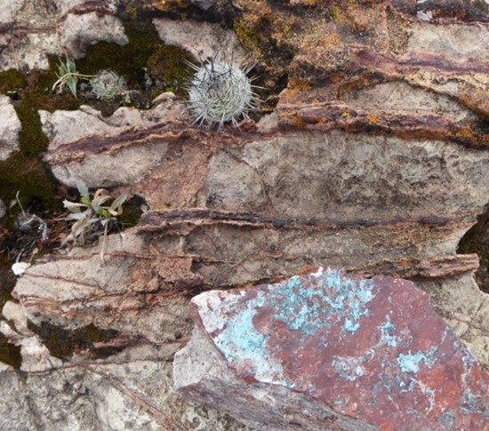 Cannot view this image? Visit: https://www.miningstockeducation.com/wp-content/uploads/2026/02/285611_d61e930b44fc79c4_006.jpg