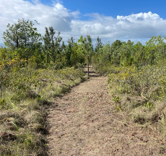 Cannot view this image? Visit: https://www.miningstockeducation.com/wp-content/uploads/2026/02/285668_d4352d81341959cb_003.jpg