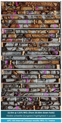 Figure 4: Drill Core Tray Photo Highlighting a Tungsten High-Grade Section of Drill Hole APC-155 with Twenty-Six Individual Visible Instances of Scheelite Highlighted in Purple (CNW Group/Collective Mining Ltd.)