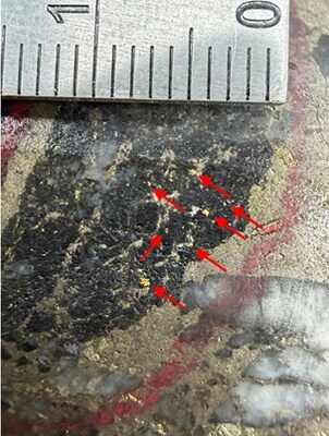Figure 2: Drillhole photograph taken of drillhole PAL0406 from the Palokas Au-Co zone of mineralization from Rajapalot, where visible gold is observed at 111m downhole depth. Gold grains have formed alongside the salvages of a pyrrhotite-quartz vein. (CNW Group/Goldsky Resources Corp.)