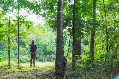ACR 900 Calion Ouachita River Wilderness IFM 2.1 and CCP