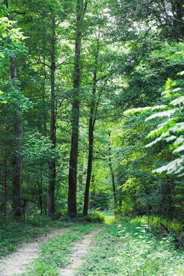 ACR 900 Credits verified and released for sale