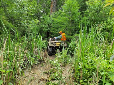 ACR 1015 Verified IFM 2.1 and CCP, with sustainable forest management