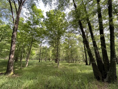 ACR 1015 IFM 2.1 and CCP