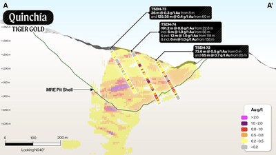 Figure 2: Tesorito Section A-A’ (looking N040°) (CNW Group/Tiger Gold Corp.)