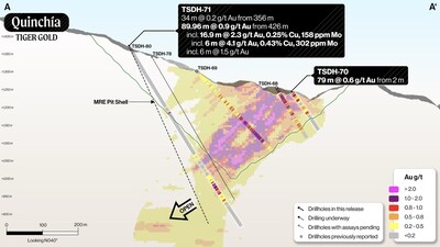 Figure 2: Tesorito Section A-A’ (looking N040°) (CNW Group/Tiger Gold Corp.) Figure 2: Tesorito Section A-A’ (looking N040°) (CNW Group/Tiger Gold Corp.)