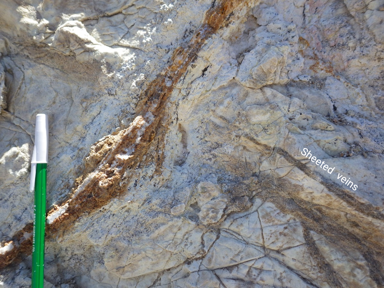 Figure2_NB_JeepVeins