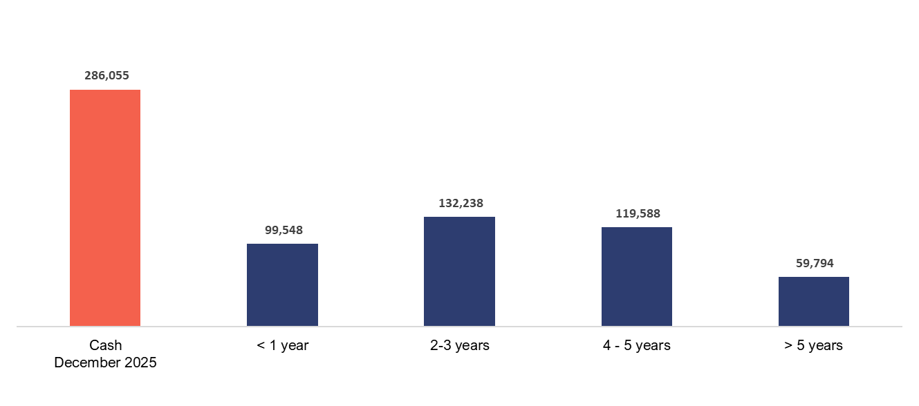 Debt Amortization Timeline (US$ thousand)