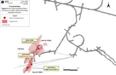 Figure 3: Plan View (Expanded View)-True North Mine (Level 16)-L10 Infill Drilling Highlighted Results (CNW Group/1911 Gold Corporation)