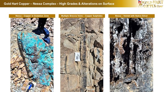 Cannot view this image? Visit: https://www.miningstockeducation.com/wp-content/uploads/2026/03/286351_goldhart-nessaexpansion-highgradesonsurface-8_550.jpg