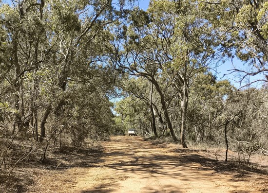 Cannot view this image? Visit: https://www.miningstockeducation.com/wp-content/uploads/2026/03/290622_5f40107f64d798e8_007.jpg