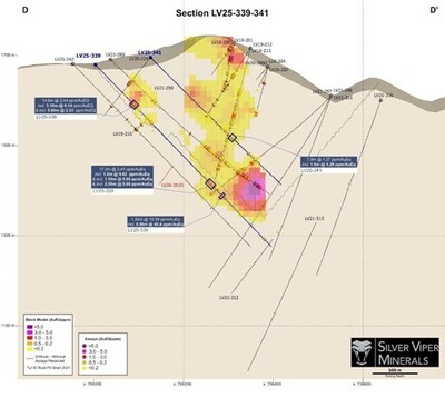 Figure Above: Cross Section D-D’ (CNW Group/Silver Viper Minerals Corp.)
