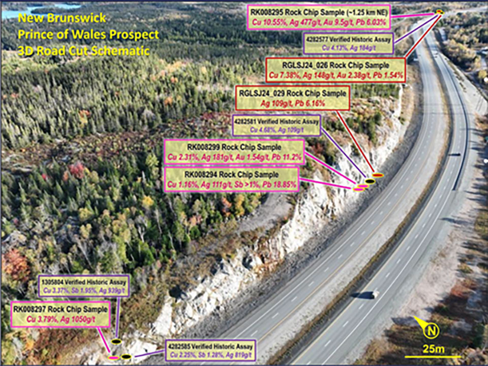 Figure2-Prince-of-Wales-roadside