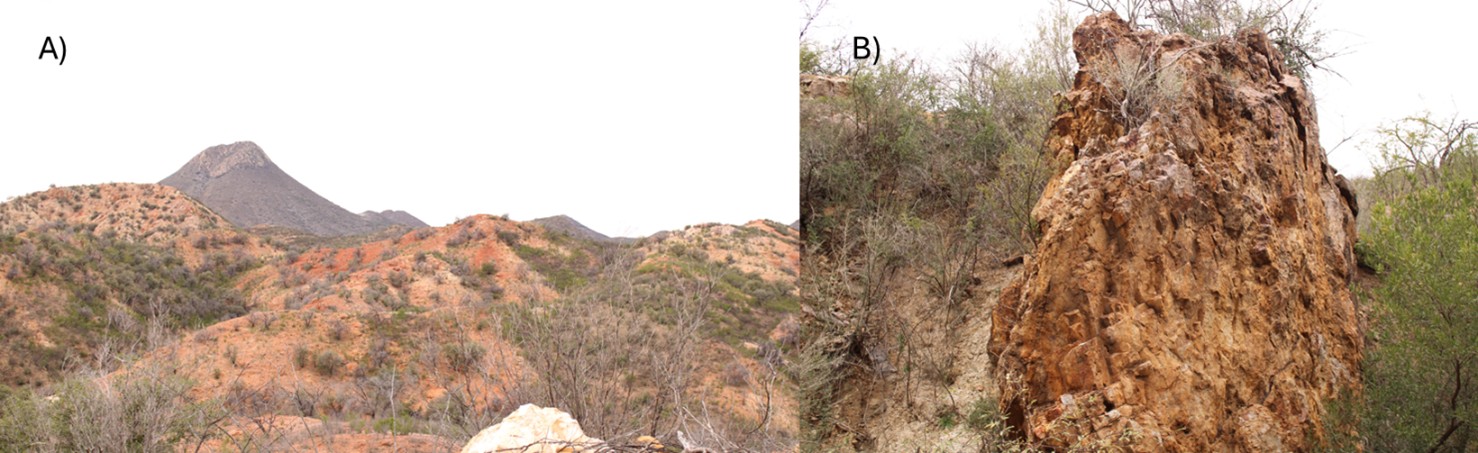 A) Strong argillic alteration and oxidation at central part of Cumaro property. B) Multiphase, brecciated and oxidized quartz vein outcrop at Cumaro property, surrounding alteration zone.