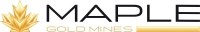 Corporate Logo