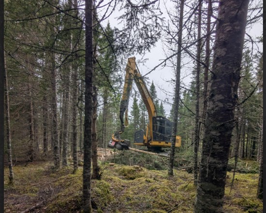 Cannot view this image? Visit: https://www.miningstockeducation.com/wp-content/uploads/2026/06/302224_f09d2274d48af964_002.jpg