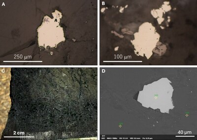 Figure 5 – Photomicrographs, hand sample, and SEM images of awaruite from the Birchy North target
A) Reflected light image of 250µm awaruite grain; B) Reflected light image of 90µm awaruite grain; C) hand sample showing disseminated awaruite; D) SEM image of 60µm awaruite grain. (CNW Group/FPX Nickel Corp.)