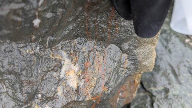 Figure 2 Mineralized quartz carbonate vein Prince of Wales Saint John Property
