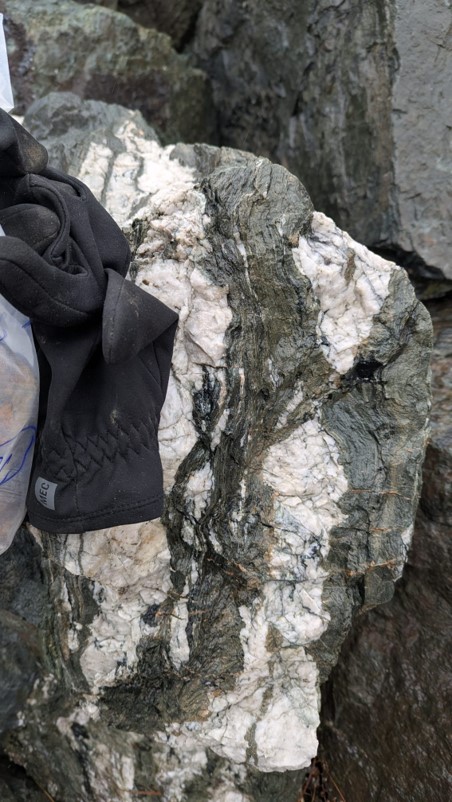 Figure 4 Mineralized quartz carbonate vein at the Prince of Wales quarry pit Saint John Property