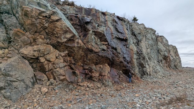 Figure 5 Mineralized iron oxide shear zone Pennfield Station Pocologan Property