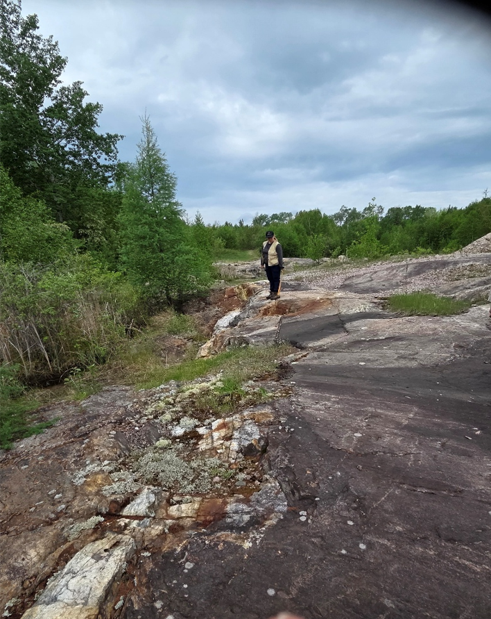 Quartz vein exposed at McKenzie Gray.