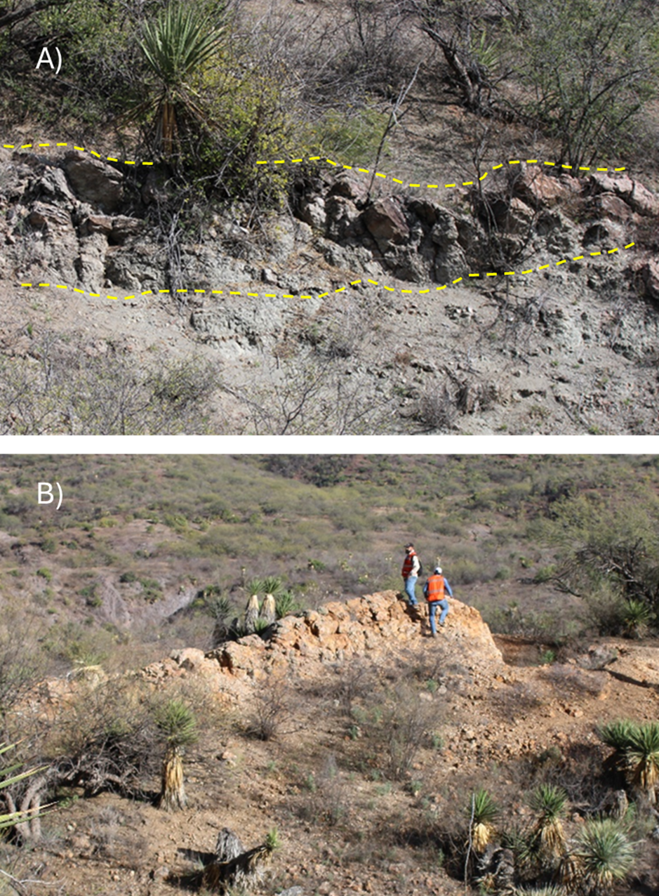 A) and B) Vein outcrops along Oso Negro Property. B) 150 m outcrop of quartz vein with 1.5 m wide.