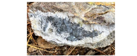 Cannot view this image? Visit: https://www.miningstockeducation.com/wp-content/uploads/2026/07/305742_figure1_550.jpg