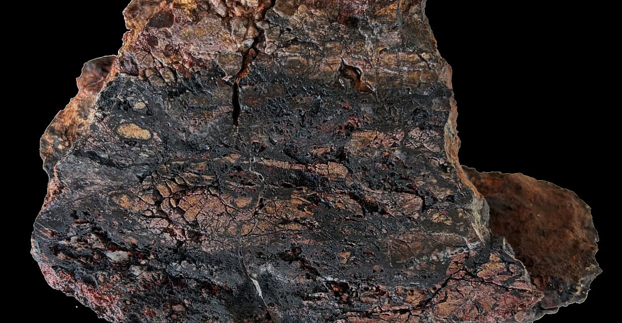 Figure 4 - July 9