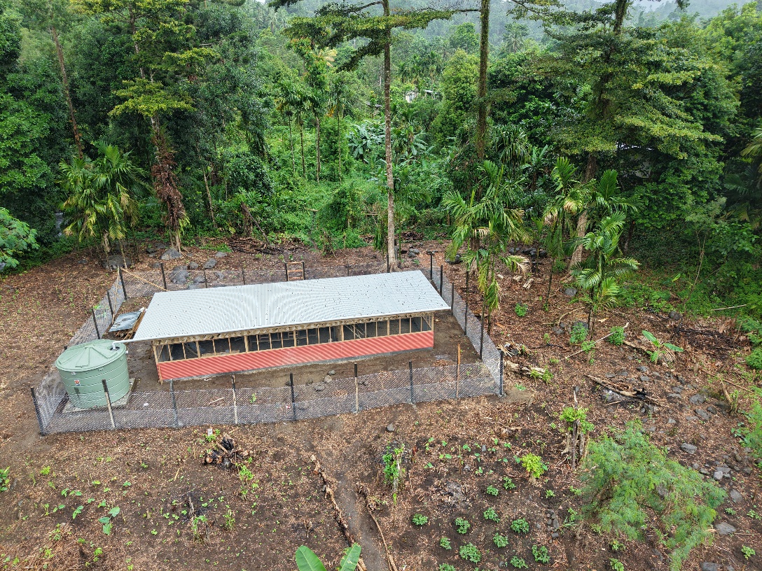 Image 3