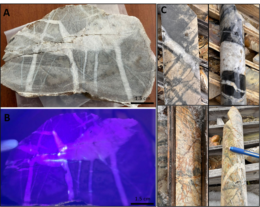 Float rock sample collected at the Kalzas Project. A. Hand Sample showing quartzite with quartz and quartz-tourmaline veins. B: Same sample under UV illumination showing scheelite fluorescence concentrated along fracture and quartz intersection. C: Examples of lithology, alteration, and mineralization (K-08-11 drill core). Quartzite with quartz stockwork veins with tourmalinization and sericitization (dark patches) along selvage and fracture.