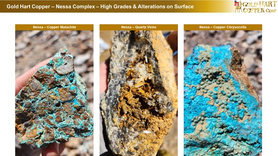 Cannot view this image? Visit: https://www.miningstockeducation.com/wp-content/uploads/2026/08/311030_gold_hart_copper_-_nessa_-_high_grades_copper_gold_surface_-_8_550.jpg
